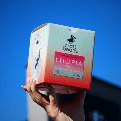 Kawa DRIP BAG - Etiopia Guji 10 saszetek x 12g