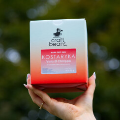 Kawa DRIP BAG - Kostaryka Vista El Chirippo 10 saszetek x 12g