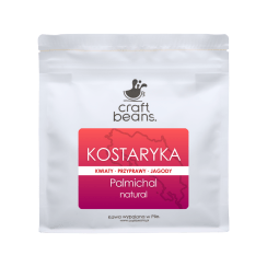 Kawa ziarnista Specialty KOSTARYKA Palmichal NATURAL  250g