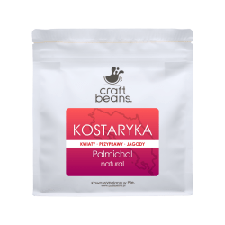 Kawa ziarnista Specialty KOSTARYKA Palmichal NATURAL  250g