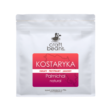 Kawa ziarnista Specialty KOSTARYKA Palmichal NATURAL  250g