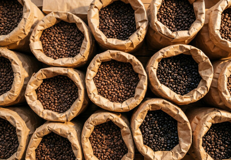 Single origin czy blend - która kawa będzie lepsza dla Ciebie?